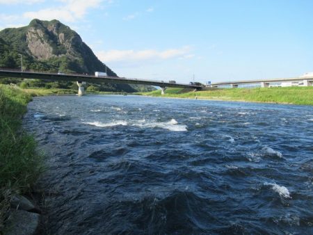 狩野川（狩野川漁業協同組合） 釣果