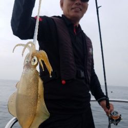 Magic(マジック) 釣果