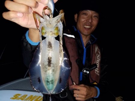 Magic（マジック） 釣果