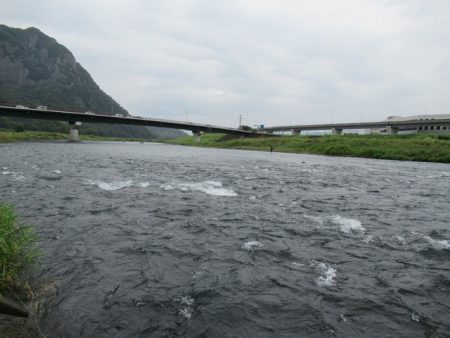 狩野川(狩野川漁業協同組合) 釣果