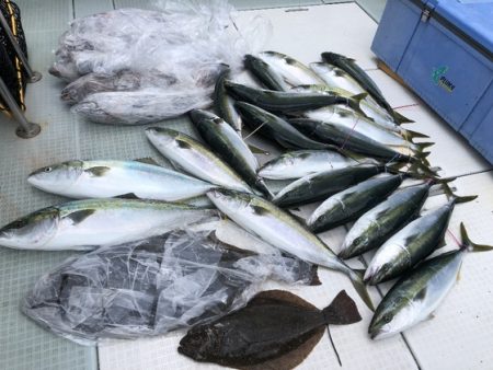 ふじしめ丸 釣果