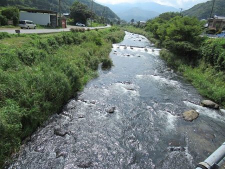 狩野川(狩野川漁業協同組合) 釣果