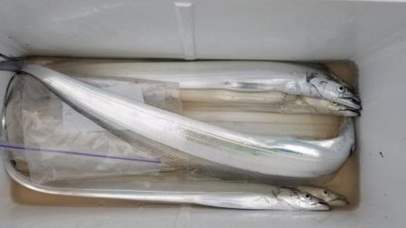 暁〜akatsuki〜 釣果