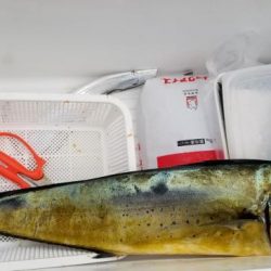 暁〜akatsuki〜 釣果