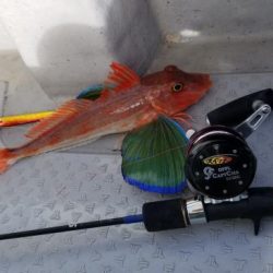 暁〜akatsuki〜 釣果