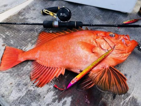 暁〜akatsuki〜 釣果