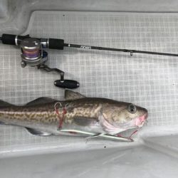 暁〜akatsuki〜 釣果