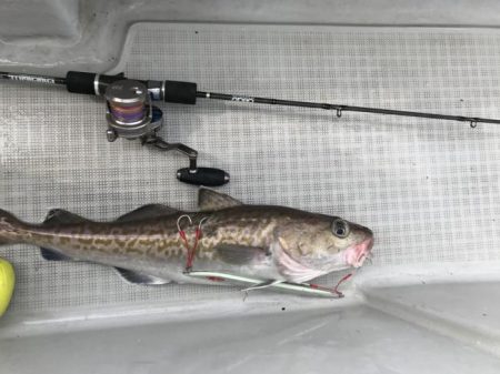 暁〜akatsuki〜 釣果