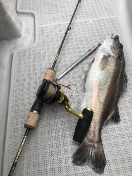 暁〜akatsuki〜 釣果