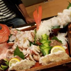 暁〜akatsuki〜 釣果