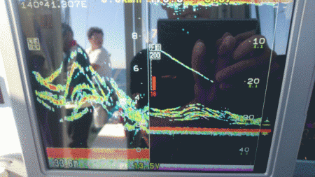 遊漁船ブルーウッズ 釣果