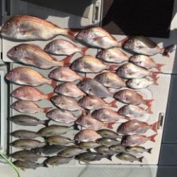 さぶろう丸 釣果