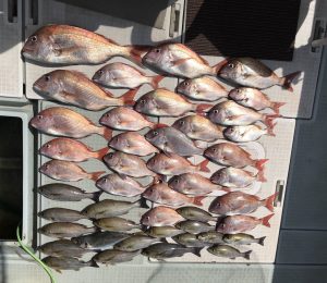 さぶろう丸 釣果