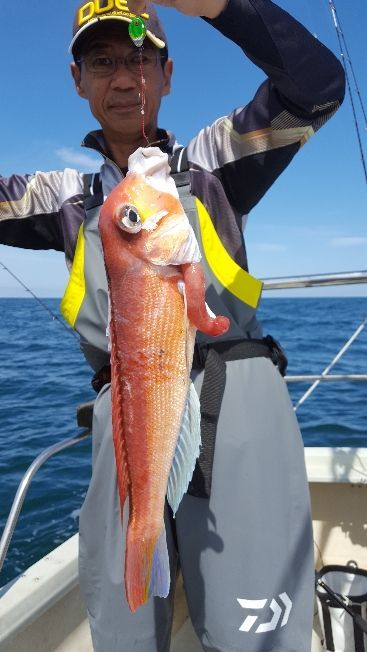 海峰 釣果