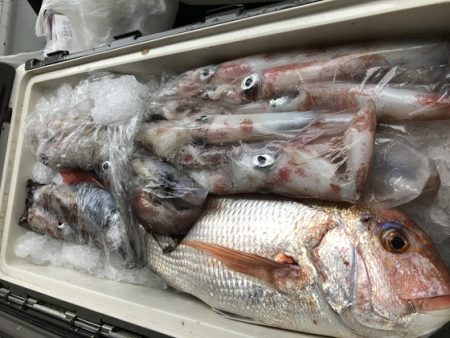 幸風（さちかぜ） 釣果