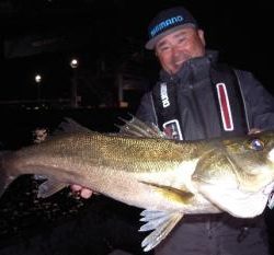 シーマジカル 釣果