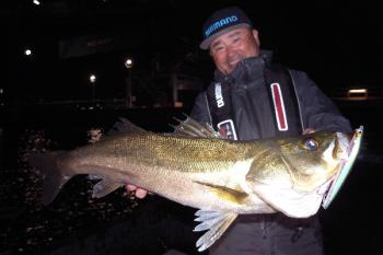 シーマジカル 釣果