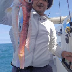 遊漁船 新鋭丸 釣果