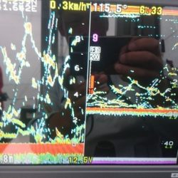 遊漁船ブルーウッズ 釣果