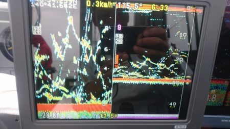 遊漁船ブルーウッズ 釣果