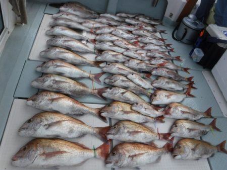 遊漁船 幸友丸 釣果