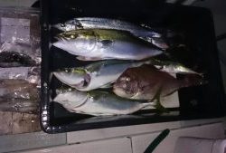 さぶろう丸 釣果