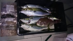 さぶろう丸 釣果