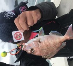 白墨丸 釣果