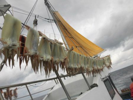 大進丸（愛知） 釣果