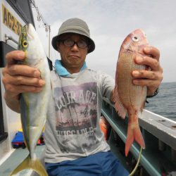 大進丸(愛知) 釣果