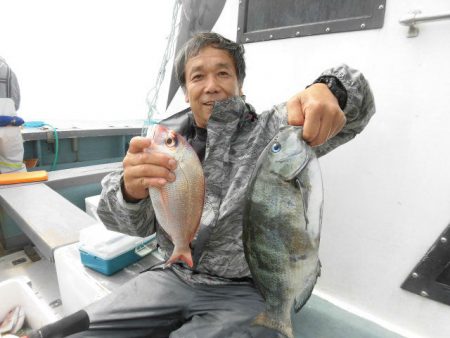 大進丸(愛知) 釣果