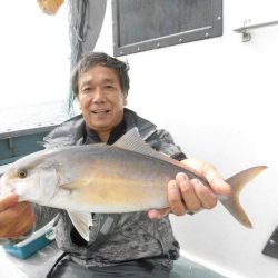 大進丸(愛知) 釣果