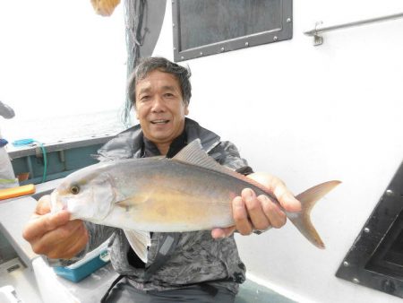 大進丸(愛知) 釣果