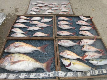 大進丸（愛知） 釣果