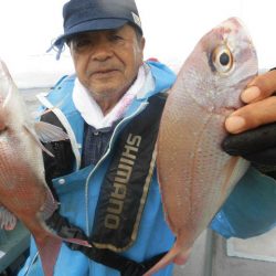 大進丸（愛知） 釣果