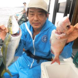 大進丸(愛知) 釣果