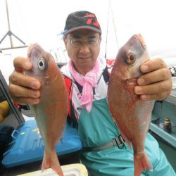 大進丸(愛知) 釣果