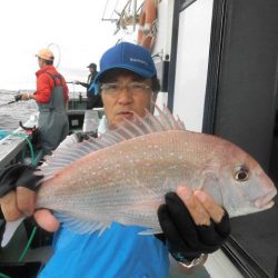 大進丸(愛知) 釣果