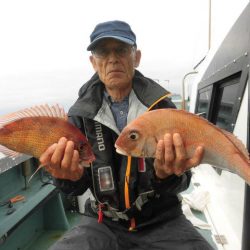 大進丸（愛知） 釣果