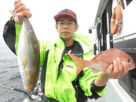 大進丸（愛知） 釣果