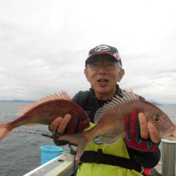 大進丸（愛知） 釣果