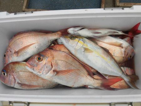 大進丸（愛知） 釣果