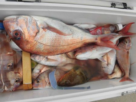 大進丸（愛知） 釣果