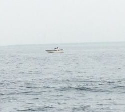 THESEAMAN(ザシーマン) 釣果