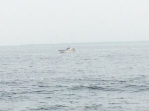 THESEAMAN(ザシーマン) 釣果