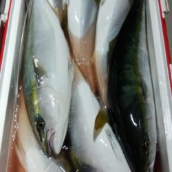 泰丸 釣果