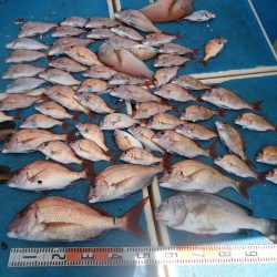 十八宝洋丸 釣果