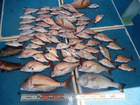 十八宝洋丸 釣果