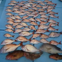 十八宝洋丸 釣果