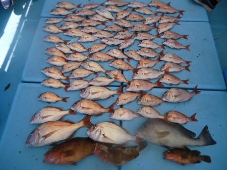 十八宝洋丸 釣果